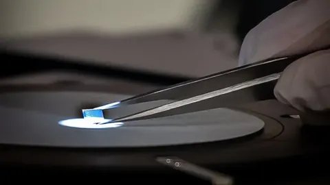 A gloved hand holding an illuminated sample with tweezers