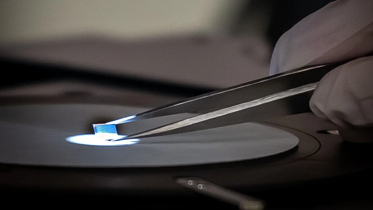 A gloved hand holding an illuminated sample with tweezers